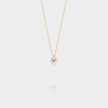 Collier Étoile Plaqué Or 18 Carats & Zirconiums | Assara Bijoux