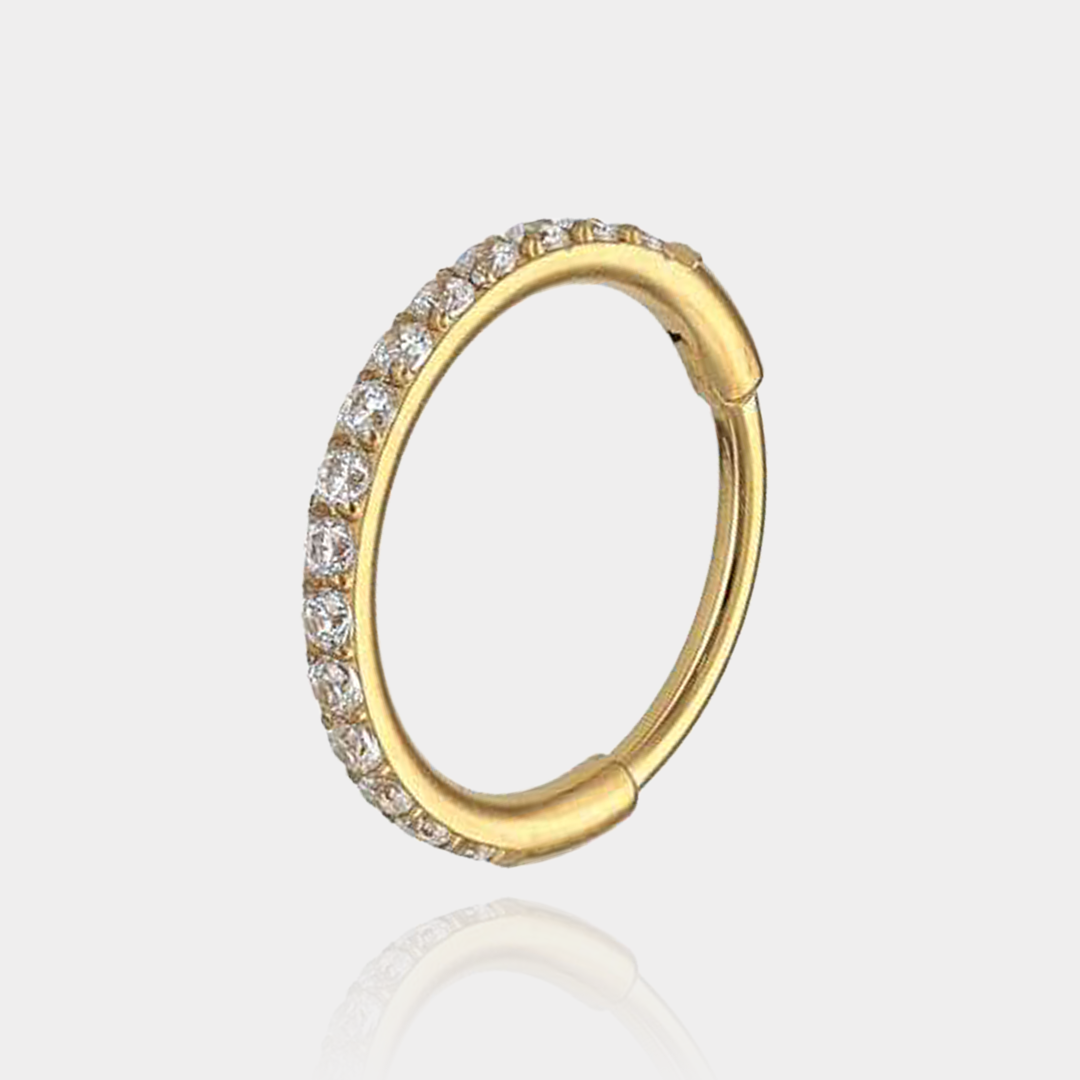 Piercing Anneau Segment