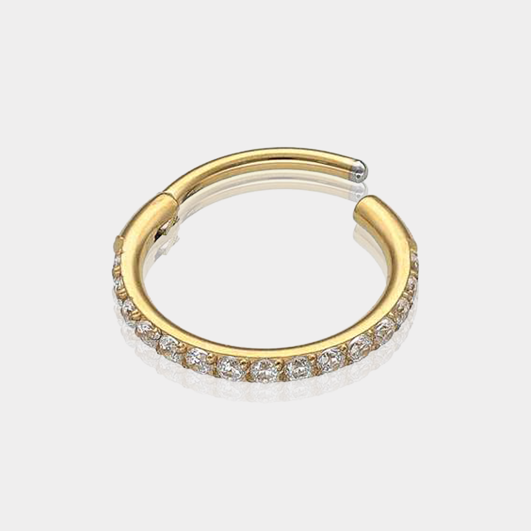Piercing Anneau Segment