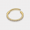 Piercing Anneau Segment
