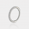 Piercing Anneau Segment